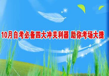 �Կ��ܿ���331��