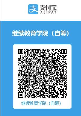 繳納費(fèi)用 繳納費(fèi)用